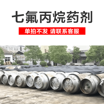 Heptafluoropropane fire extinguisher portable 2/4/6/8kg temperature-controlled hanging cabinet gas automatic fire extinguishing device 1l heptafluoropropane agent_single shot does not fire