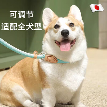 Bibk japanese quality dog leash p rope dog walking rope one-piece anti-breakaway anti-explosion p chain lead for medium and large dogs pu leather explosion-proof p rope (blue and green) (within 15 pounds) 1.5 meters long rope 0.8mm thick