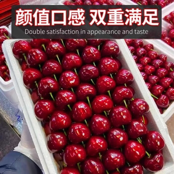 Chucan chile imported cherries, meizao large cherries, cherry giant black pearl cherries fruit gift box 3kg (net weight) 2j