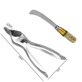 Rsrddy durian opening tool stainless steel fruit peeling pliers special knife anti-stab tool durian splitting and peeling clip durian opening tool + kuboli scimitar large