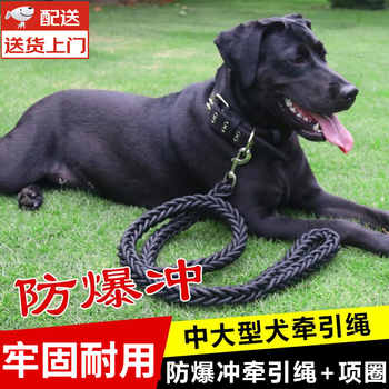 Jingmengyuan dog leash large and medium-sized dog walking rope golden retriever labrador german shepherd dog chain collar pet supplies black extra long 1.8m medium collar double row holes (recommended 40-70 catties