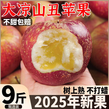 Daliangshan yanyuan chou apple rock candy heart apple fresh fruit seasonal whole box free shipping sichuan red fuji apple fruit 2 catties mini fruit 60mm or less