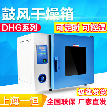 Yiheng shanghai dhg-9030a electric constant temperature blast drying oven laboratory industrial oven oven dhg-9030 galvanized sheet 30l