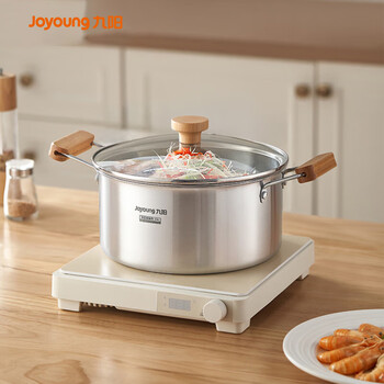 Joyoung soup pot triple thickened 316l stainless steel stew pot double-ear anti-scalding porridge and noodle boiler stove universal 20cm