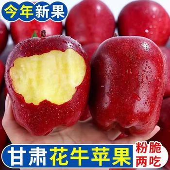 Jingshuoguo authentic gansu tianshui huaniu apple snake red fruit gift box baby complementary food noodles sand sweet fresh fruit 5kg selected good fruits