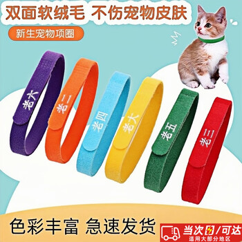 Yuan nationality pet identification birth mark cat collar identification neck identification belt kitten milk dog sequence mark collar 12 colors (12 pieces) exquisite packaging m size (10*300mm)