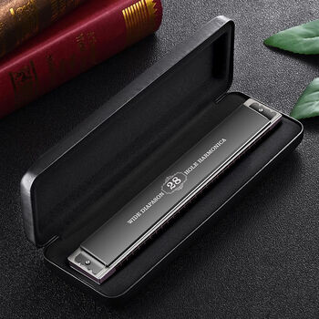 Swan imported gongs new 28-hole polyphonic accent c key for adults, middle-aged and elderly quasi-professional performance harmonica performance grade 28-hole black polyphonic c key + gifts + full set of gifts