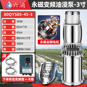 Six-drop stainless steel high-lift permanent magnet frequency conversion lightweight oil-immersed pump large flow flood control and drainage breeding submersible pump 220v 3 inches 3 kilowatt 380v permanent magnet frequency conversion oil-immersed