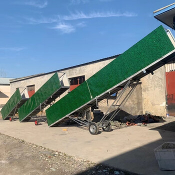 Kaooseen mobile pig loading platform, pig loading ladder, pig selling lifting platform, pig loading track, mobile pig loading platform, pig loading and loading artifact, 6 meters electric loading 1-2 floors