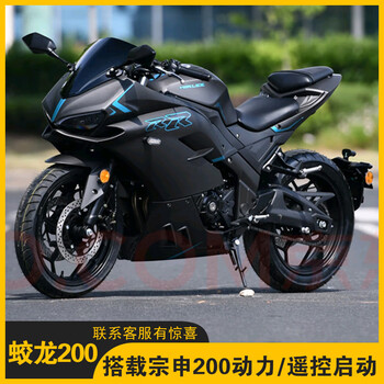 Heineken motorcycle dragon 200 motorcycle sports car heavy duty imitation road race party dragon 400 little ninja can be licensed black warrior dragon 200 single cylinder air cooling