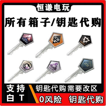 Purchasing your own account cs2 key official csgo unboxing nightmare revolution kilowatt recoil gallery arsenal pass 100 version