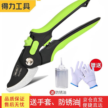 Deli pruning shears, professional fruit growers, garden scissors, branch scissors, fruit branch pruners, thick branches, flowers, powerful 8-inch professional fruit growers pruning shears dl2789a