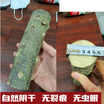 Zanthoxylum bungeanum log handmade jewelry wild zanthoxylum bungeanum branch diy production of molar stick carving handle original 4cm thick * 10cm long 2 pieces good ruler for teething stick