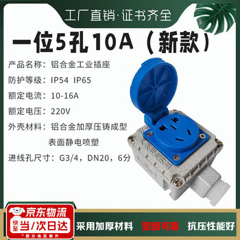Explosion-proof socket 220v explosion-proof five-hole socket explosion-proof switch industrial socket 220v gas lighting switch 86 type two-open exposed and concealed universal with waterproof cover exdeiibt6 level g3/4 port single 5-hole/10a jingzi warehouse fast delivery same day delivery