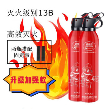 Vinoa vehicle-mounted fire extinguisher, water-based for private cars, high temperature resistance, small portable car, automotive home fire-fighting equipment, 1l water-based, annual inspection must pass the new national standard, two large bottles