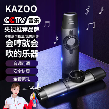 Romusic kazoo professional performance new double-headed metal guitar ukulele beginner easy to learn instrument silver