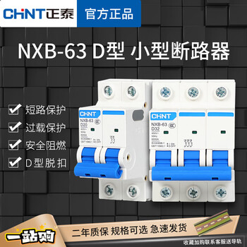 Chint d-type air switch nxb-63 small circuit breaker 2p air switch dz47 air switch 100a three-phase 3p 1p 20a
