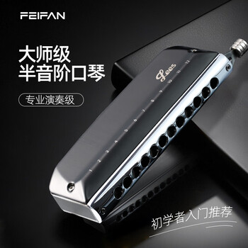 Feifan feifan chromatic harmonica 12-hole c key u48 professional performance level adult beginner special practice model with tutorial