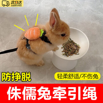 Star rudder rabbit traction rope anti-breakaway rabbit chain vest type cat walking rope small dog adjustable pet traction rope carrot traction rope xs (0-3 catties)