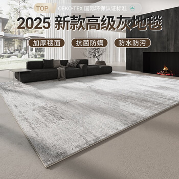 Qiansu (qiansu) living room carpet new high-end light luxury sofa blanket wash-free bedroom blanket can be customized simple household waterproof blanket cloud woven mist-high standard cotton and linen bottom 200cm*300cm suitable for 80% of families