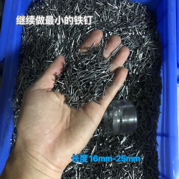 Fengxi wood iron nails carpentry small nails household round nails foreign nails shoe nails yuan nails picture frame nails small 6-point nails about 40 pieces (16mm length)