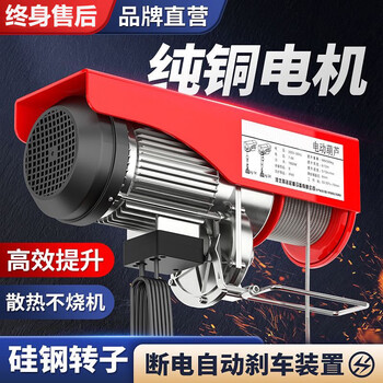 Mini electric hoist 220v crane 200kg household small lift 0.5 ton lifting hoist crane 250-500kg/20m 220v wired handle