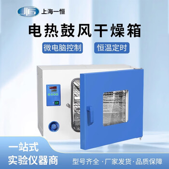 Yiheng electric blast drying oven laboratory constant temperature oven industrial oven small yiheng drying oven dhg-9030 rt+10~200