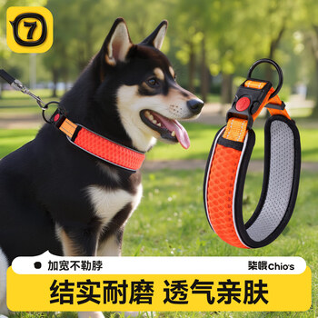 Qi oh dog collar collar collar dog walking rope dog leash collar size medium dog leash corgi pet dog collar orange collar + 1.6 meter reflective leash xs - suitable for neck circumference 28-30cm (recommended 4-12 pounds