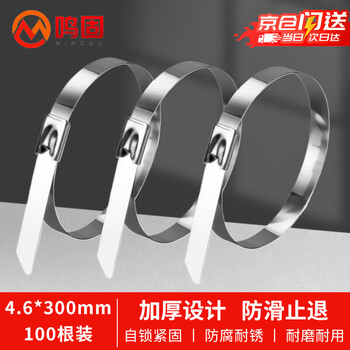 Minggu 304 stainless steel cable tie, self-locking live buckle bundle, wire harness, wire tie tensioner, metal wire hoop, 4.6*300mm/100 pieces
