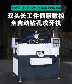 Wen yijia fully automatic cnc tapping machine tapping machine double-head long workpiece high-speed servo multi-axis automatic drilling machine inverted cj-7480-c1-08 baffle