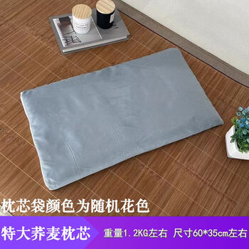 Pearl cotton filling pillow core pillow buckwheat shell bulk store core baby memory children kindergarten students extra large buckwheat shell pillow core (60*35*5cm)