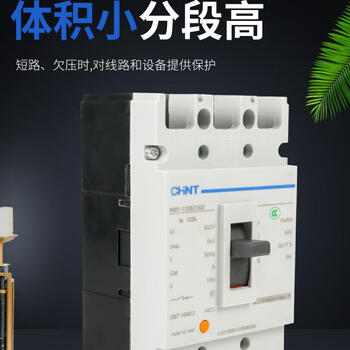 Chint molded case circuit breaker nm1-63s 125s 250s 400s 630s 800s1250h/3300 empty nm1-250s/3300 500a