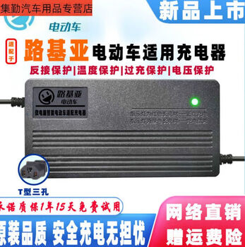 Sanqi hushantou lincun road kiya electric vehicle battery smart charger 48v12ah60v20ah72v 32ah96v1 60v20aht three-hole