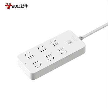 Bull 6-position power strip
