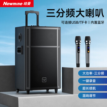 Newmine n529 15-inch square dance bluetooth speaker high-power outdoor mobile portable trolley home karaoke high-volume wireless audio super long battery life dual microphone 5 speakers