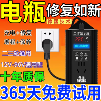New upgraded electric vehicle battery repairer genuine voltage stabilizing activator intelligent pulse charging battery life artifact winter and summer split charging voltage stabilizing protection + maintenance + repair