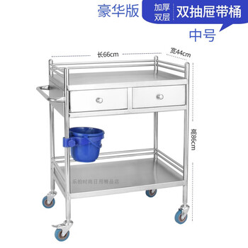 Sailoto stainless steel treatment cart trolley instrument surgical instrument beauty salon oral rack tool cart one integrated welding two-story luxury double pump medium size