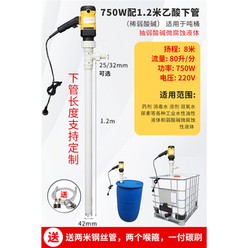 Stainless steel chemical pump, acid and alkali pump, ptfe material anti-corrosion pump, portable electric oil pump, 750w with 1.2m acetic acid lower pipe (dilute and weak acid and alkali), suitable for ton barrels, mainly classified by power