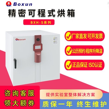 Boxun shanghai boxun/130s/280s/450s precision programmable oven laboratory constant temperature drying oven bxh-65s