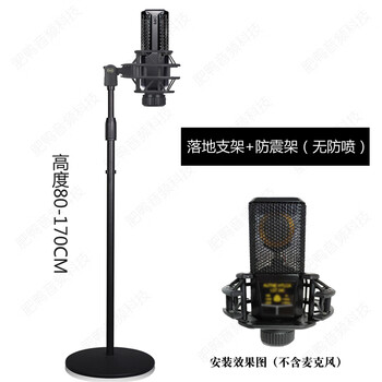 Luoyupan levit microphone 240 840 940 u87 universal metal condenser mic plus disc floor stand + shock mount