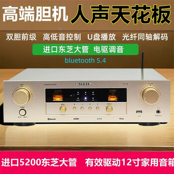Augsburg imported fever high-power pure power amplifier hifi high-fidelity electronic tube bile front amp output home remote control gold
