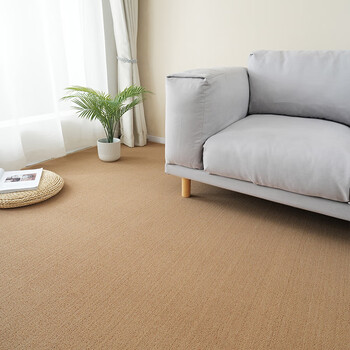 Office carpet commercial large area fully covered studio photo room background mat can be cut beige 300x400cm