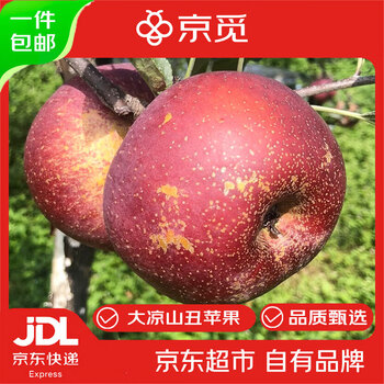 Jingmi sichuan daliangshan ugly apple 8 pounds single fruit 75+mm + fresh fruit rock candy heart apple straight from the source