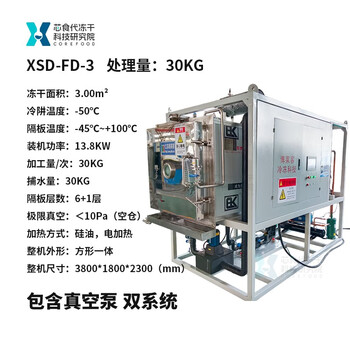 Core food customized large commercial chicken beef pet food freeze dryer medicine 40 square meter vacuum high efficiency xsd-fd-3 square