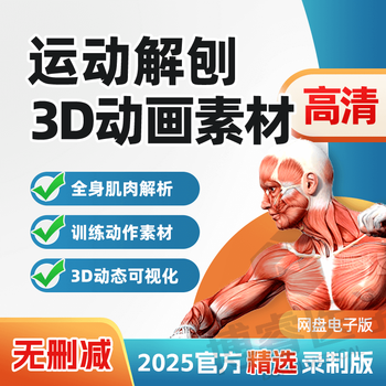 Medical muscle anatomy 3d animation sports material fitness action equipment training yoga muscle short video 3d customized u disk/hard drive delivery