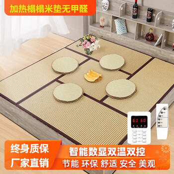 Visibility japanese-style coconut palm tatami mat electric heating custom-made tatami electric heated kang mat stepping rice floor mat mattress custom-made special photo