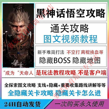 Black myth wukong strategy tutorial video game clearance skills experience cheats basic self-study electronic version materials customized u disk/hard drive