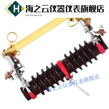 Outdoor high voltage fuse 10kvrw1010100a200a ring switch rw10-10/100a/200a three price