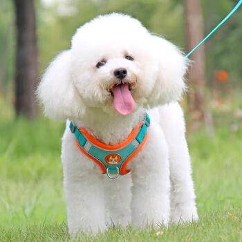 Ixjsn dog leash vest reflective rope adjustable pet cat harness puppy bichon dog walking small chain single 1.5m flat rope default orange mind s recommended 14-20 jin