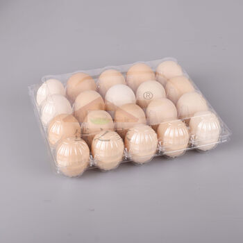 Sailoto plastic egg tray transparent egg packaging box pigeon egg quail egg vacuum sea duck egg goose 20 pieces medium egg tray 440 pieces